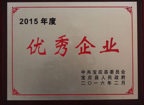 公司被寶應縣人民政府授予2015年度“優(yōu)秀企業(yè)”榮譽稱號