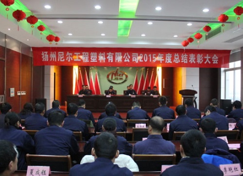 瞄準(zhǔn)新目標(biāo)、開(kāi)啟新征程——公司舉行2015年工作總結(jié)表彰大會(huì)