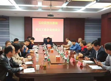 望直港鎮(zhèn)重點(diǎn)工業(yè)企業(yè)座談會(huì)在我公司召開