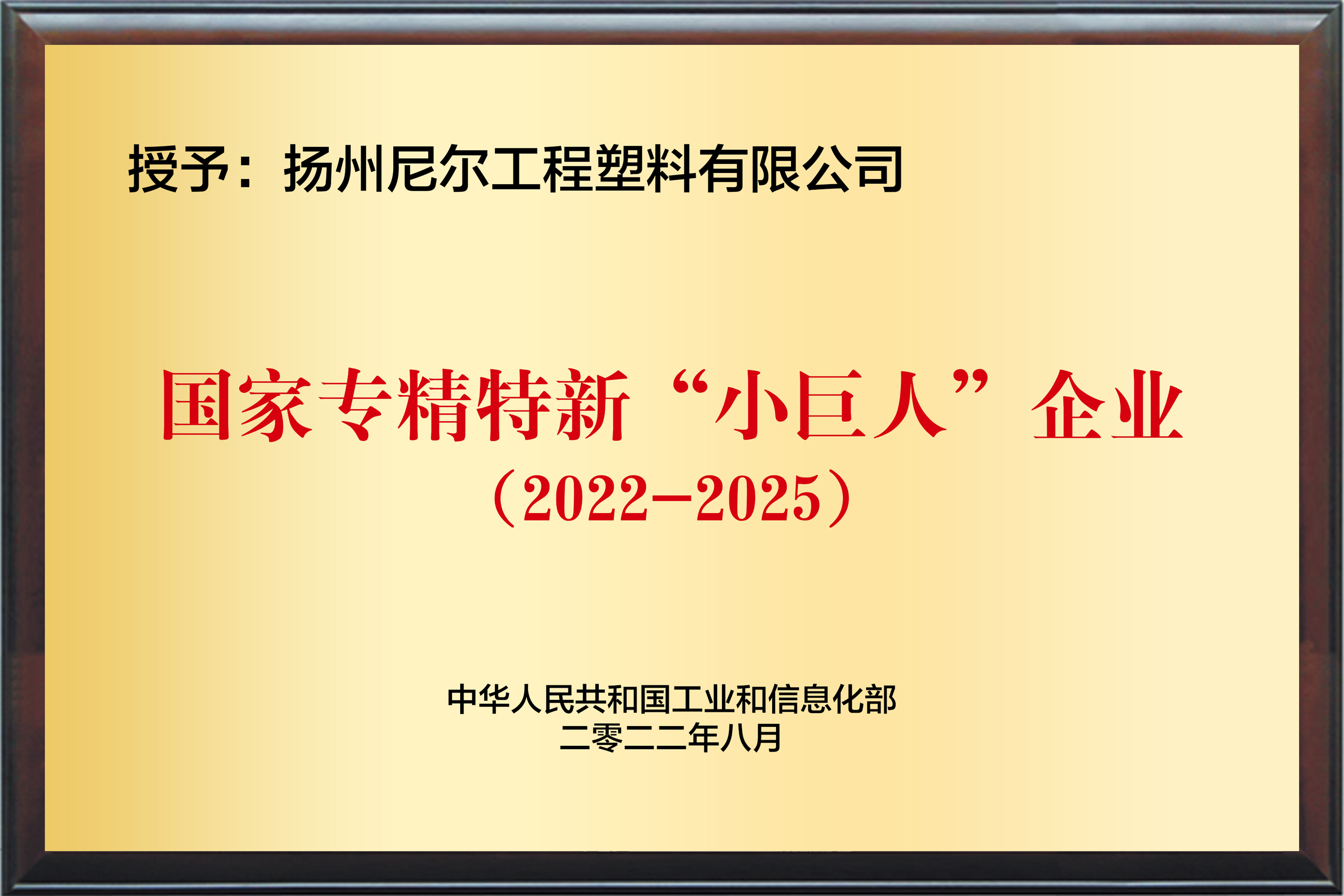國(guó)家專(zhuān)精特新小巨人企業(yè)
