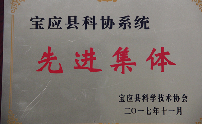 公司科協(xié)榮獲寶應(yīng)“先進(jìn)集體”稱號