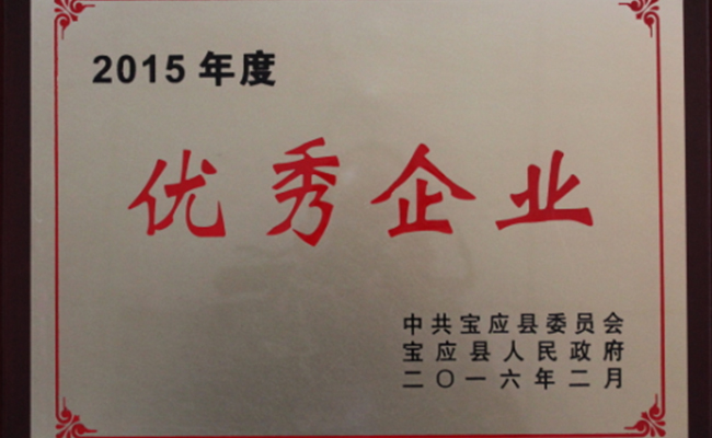 公司被寶應(yīng)縣人民政府授予2015年度“優(yōu)秀企業(yè)”榮譽(yù)稱號(hào)
