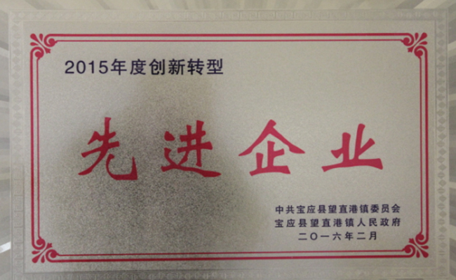 公司近期所獲寶應(yīng)縣望直港鎮(zhèn)黨委、政府授予的榮譽(yù)