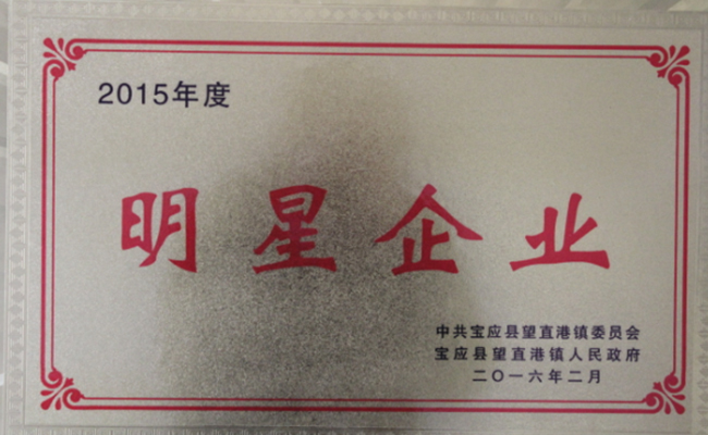 公司近期所獲寶應(yīng)縣望直港鎮(zhèn)黨委、政府授予的榮譽(yù)