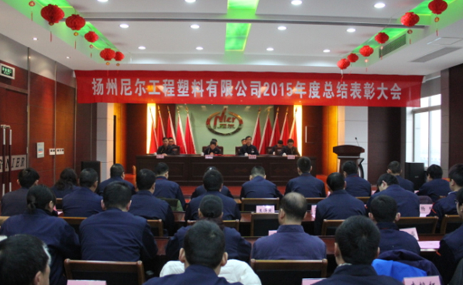 瞄準(zhǔn)新目標(biāo)、開啟新征程——公司舉行2015年工作總結(jié)表彰大會